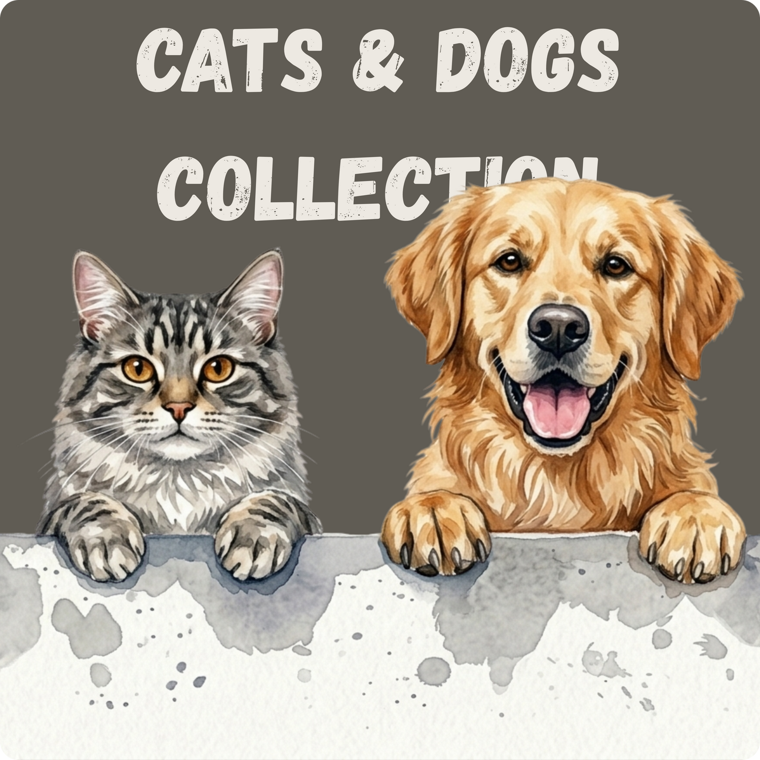 Cats & Dogs