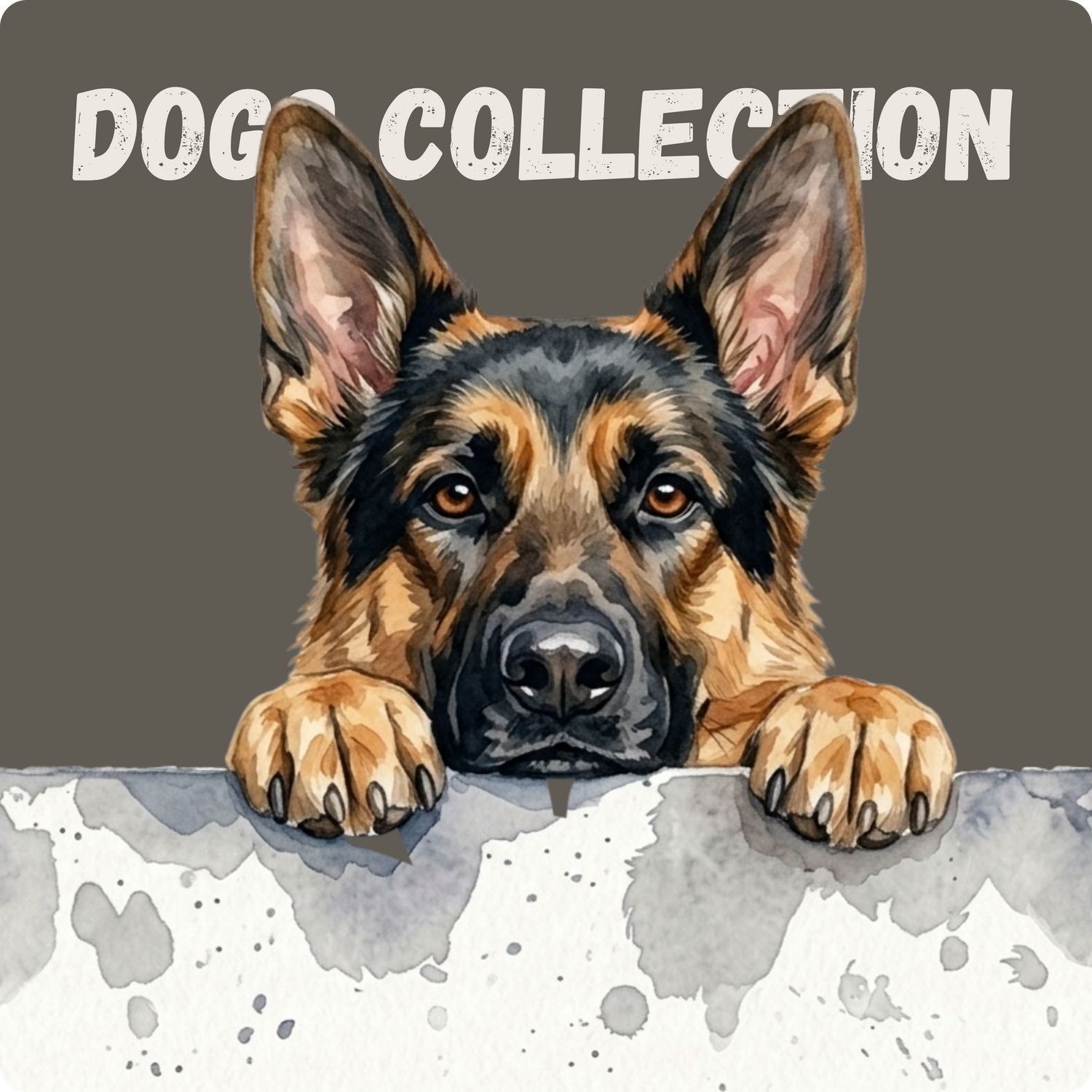 Dogs