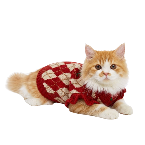 Cat Cherry Sweater
