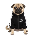 POMII  Dog Jacket