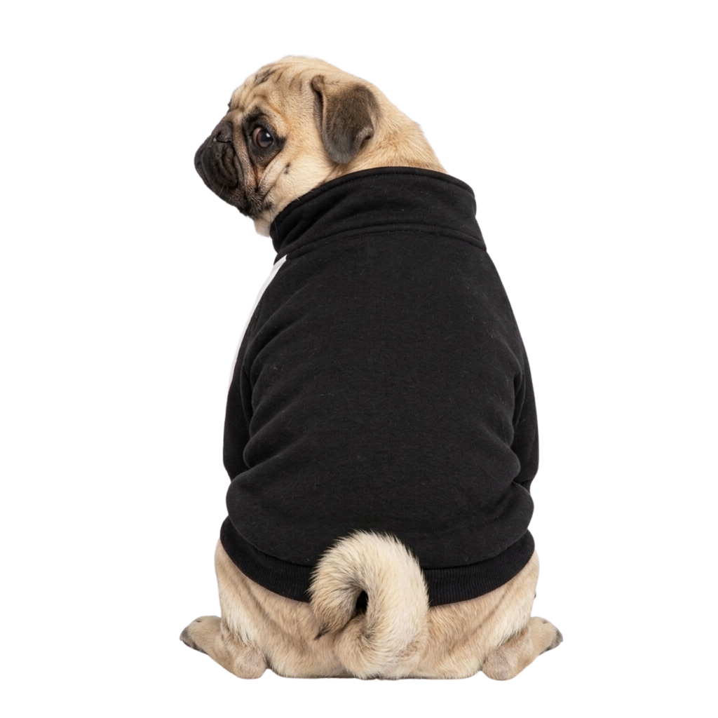 POMII  Dog Jacket