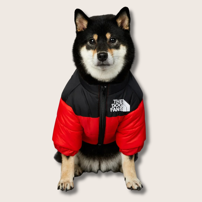 Pup Jacket - The Dog Fans