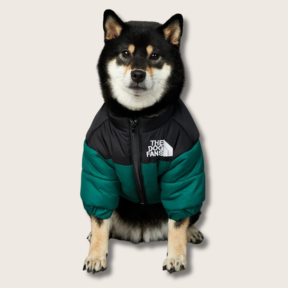 Pup Jacket - The Dog Fans