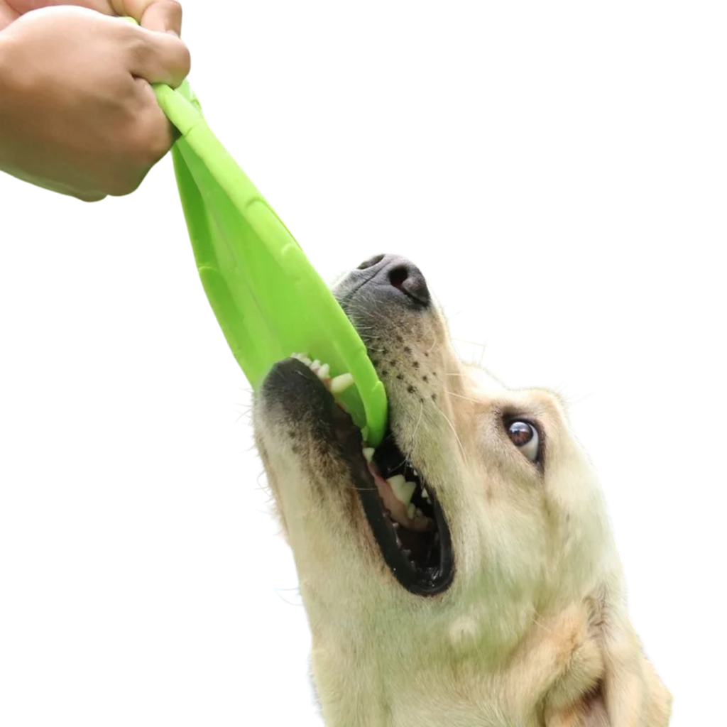 Bite Resistant Flying Disc Toy for Dogs