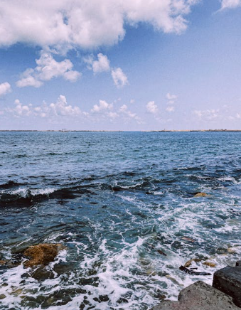 Sarah M. — Austin, TX