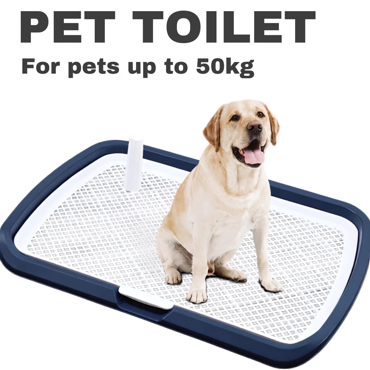 Dog Potty Training Toilet