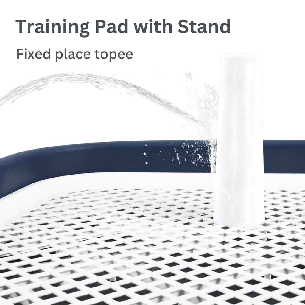 Dog Potty Training Toilet