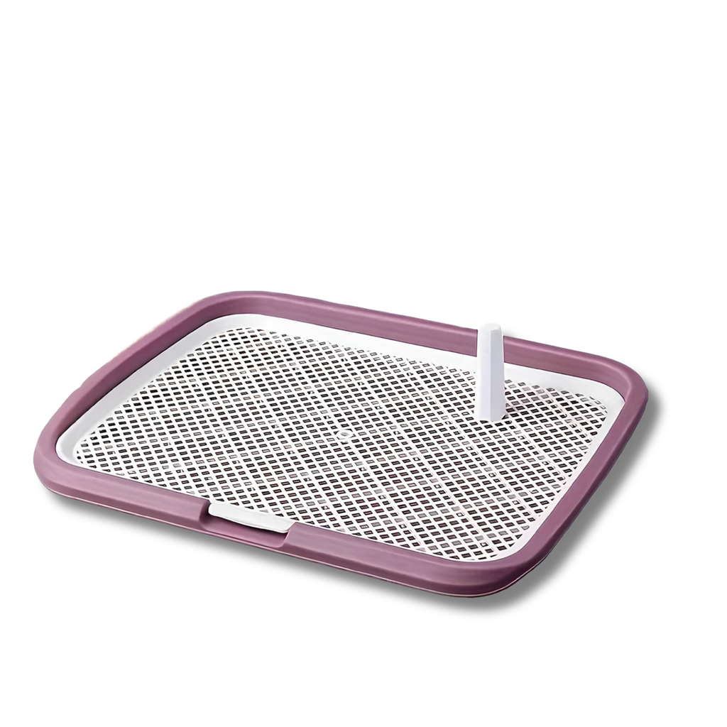 Dog Potty Training Toilet