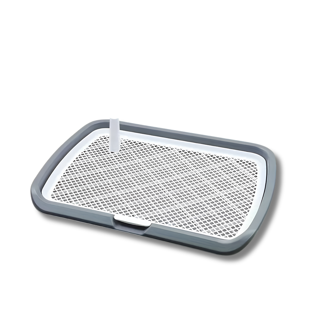 Dog Potty Training Toilet