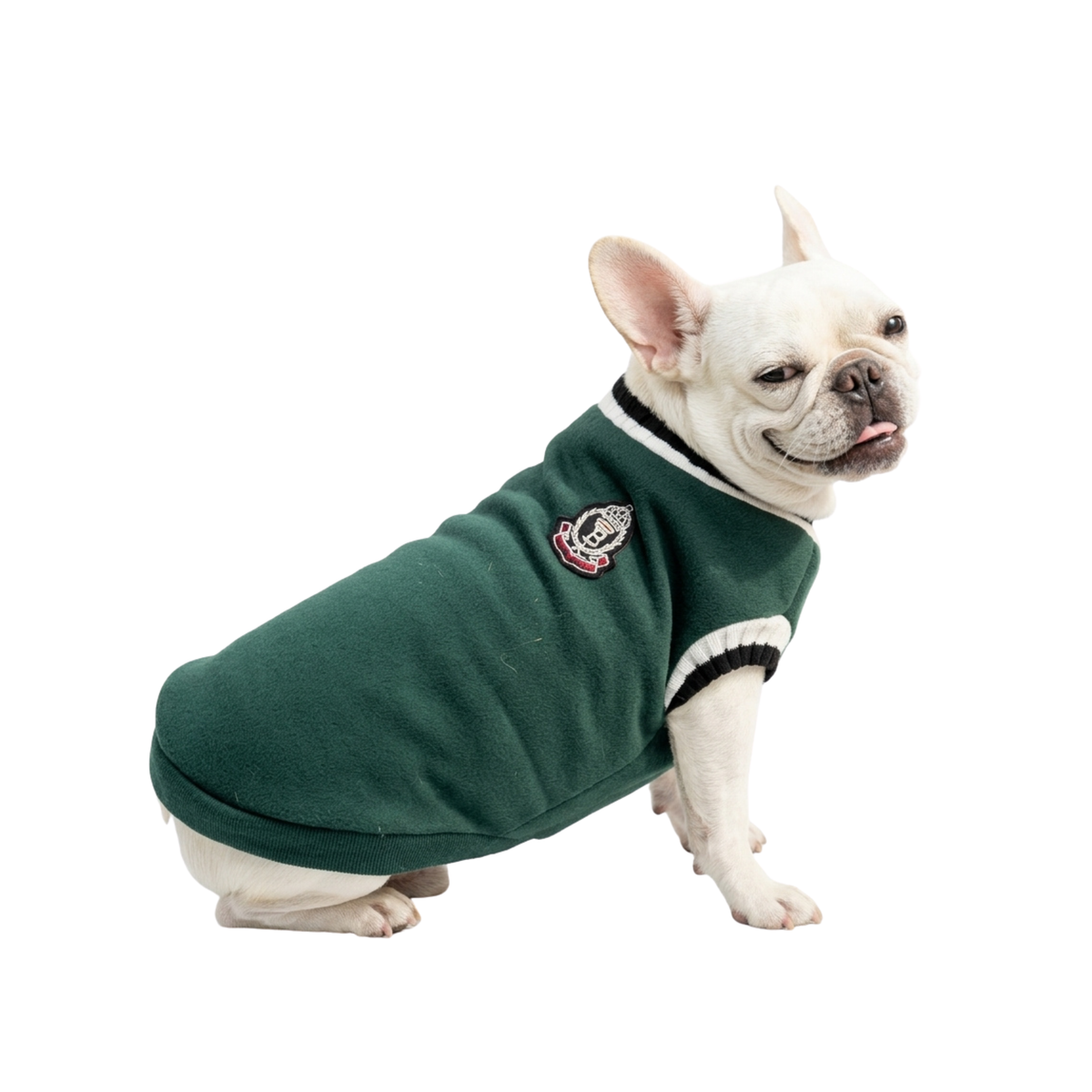 Classic College Pet Sweater