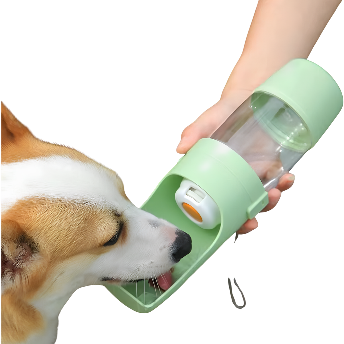 Portable Dog & Cat Water Bottle