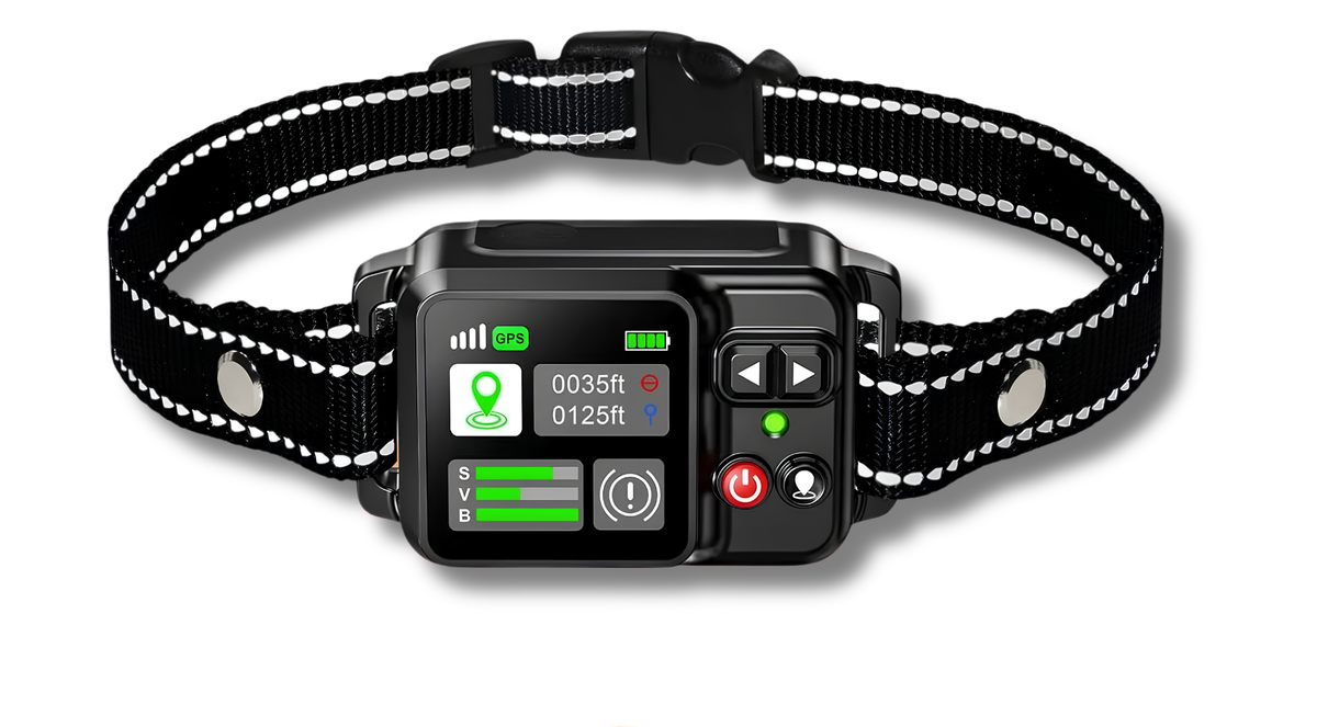 Smart GPS Dog Training Collar